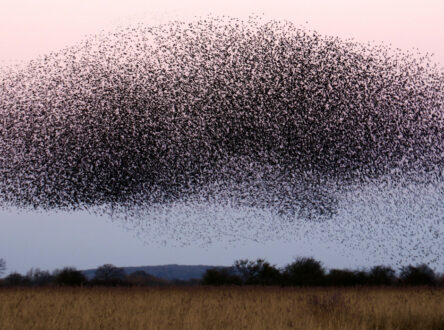 Featured image for Let’s go beyond tech sovereignty buzzwords and do something about it