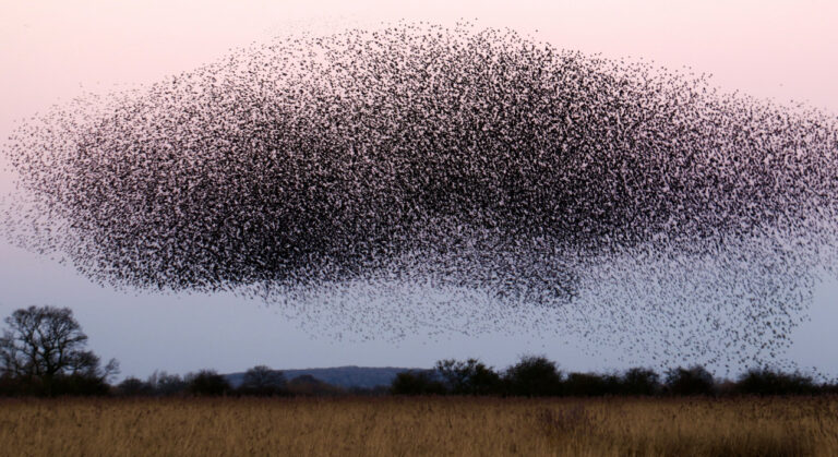 Featured image for Let’s go beyond tech sovereignty buzzwords and do something about it