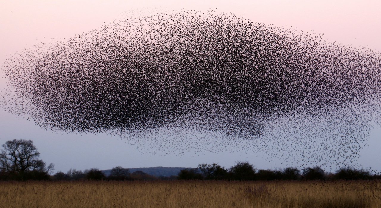 Featured image for Let’s go beyond tech sovereignty buzzwords and do something about it