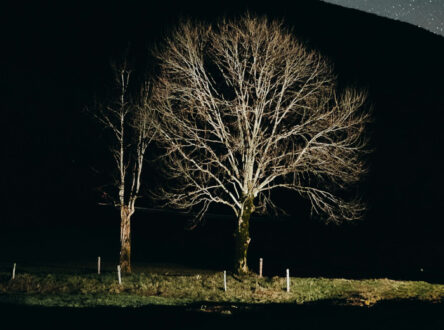 Featured image for Net zero, AI and 2026