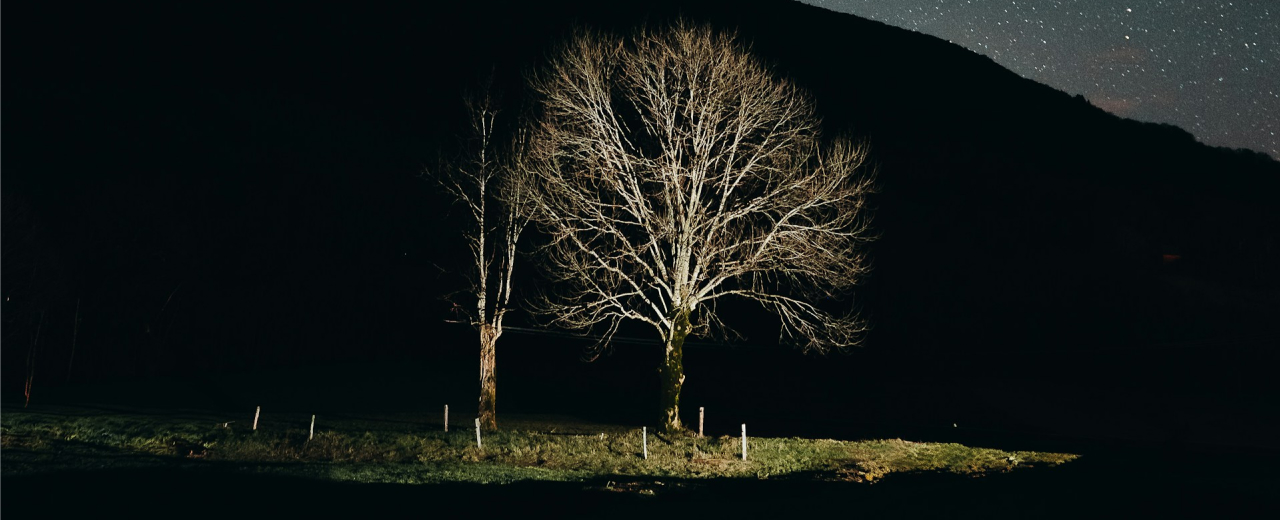 Featured image for Net zero, AI and 2026