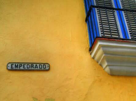 Featured image for How interoperable digital infrastructure can help organisations scale